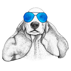 spaniel dog head hand drawn illustration. Doggy in blue sunglasses, isolated