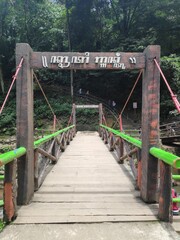 wooden bridge in the middle forest in the morning