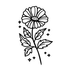 Hand drawn daisy, gerbera flower and botanical leaf branch illustration. Black line art vector feminine logo. Symbol and icon for wedding, business card, cosmetics, jewel, brand, and beauty products