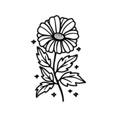 Hand drawn daisy, gerbera flower and botanical leaf branch illustration. Black line art vector feminine logo. Symbol and icon for wedding, business card, cosmetics, jewel, brand, and beauty products