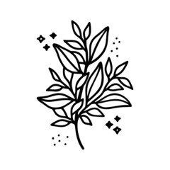 Hand drawn floral & botanical leaf branch illustration. Black line art vector feminine logo. Symbol and icon for wedding, business card, cosmetics, jewel, brand, and beauty products