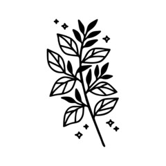 Hand drawn floral & botanical leaf branch illustration. Black line art vector feminine logo. Symbol and icon for wedding, business card, cosmetics, jewel, brand, and beauty products