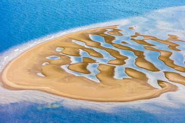 Shoal on the water surface of the river with gulls in summer