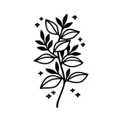 Hand drawn floral & botanical leaf branch illustration. Black line art vector feminine logo. Symbol and icon for wedding, business card, cosmetics, jewel, brand, and beauty products