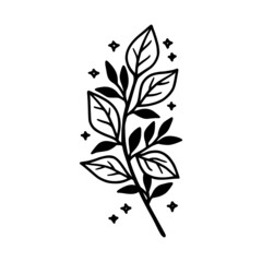 Hand drawn floral & botanical leaf branch illustration. Black line art vector feminine logo. Symbol and icon for wedding, business card, cosmetics, jewel, brand, and beauty products