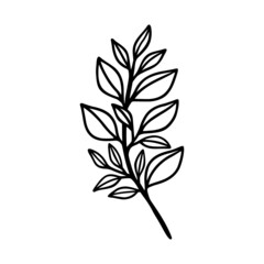 Hand drawn floral & botanical leaf branch illustration. Black line art vector feminine logo. Symbol and icon for wedding, business card, cosmetics, jewel, brand, and beauty products