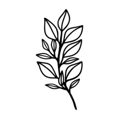 Hand drawn floral & botanical leaf branch illustration. Black line art vector feminine logo. Symbol and icon for wedding, business card, cosmetics, jewel, brand, and beauty products