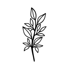 Fototapeta premium Hand drawn floral & botanical leaf branch illustration. Black line art vector feminine logo. Symbol and icon for wedding, business card, cosmetics, jewel, brand, and beauty products