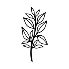Hand drawn floral & botanical leaf branch illustration. Black line art vector feminine logo. Symbol and icon for wedding, business card, cosmetics, jewel, brand, and beauty products