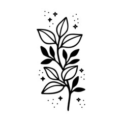 Hand drawn floral & botanical leaf branch illustration. Black line art vector feminine logo. Symbol and icon for wedding, business card, cosmetics, jewel, brand, and beauty products