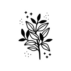 Hand drawn floral & botanical leaf branch illustration. Black line art vector feminine logo. Symbol and icon for wedding, business card, cosmetics, jewel, brand, and beauty products