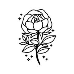 Hand drawn rose flower and botanical leaf branch illustration. Black line art vector feminine logo. Symbol and icon for wedding, business card, cosmetics, jewel, brand, and beauty products