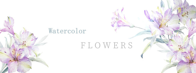  high-quality set of various watercolor flowers 
