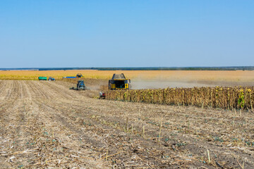 harvesting sunflower in the field with a combine