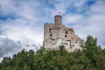 Fototapeta na wymiar Mirow medieval castle ruins in Silesia, Poland