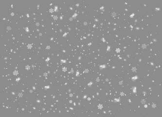 Snowflakes, snow background. Christmas snow for the new year. Vector illustration.