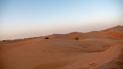 Fototapeta na wymiar Desierto Dubái
