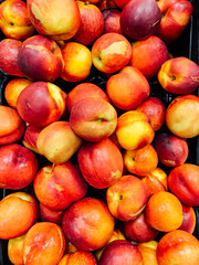 lots of ripe nectarine peaches for cooking as a background