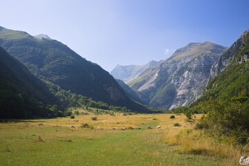 A grassland with plants and trees in the valley of Sibillini mountains (Marche, Italy, Europe)