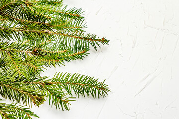 Border of Christmas tree branches on white putty background