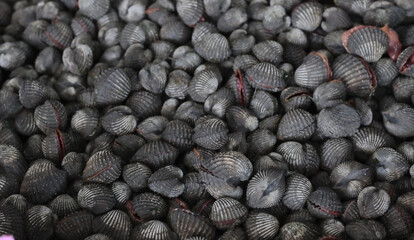 group of cockle for sale to make meal