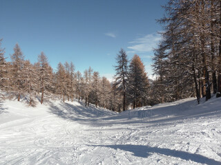 Piste de ski en hiver, à Risoul, Hautes-Alpes, France