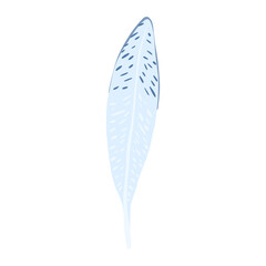 Feather isolated on white background. Hand drawn graphic element.