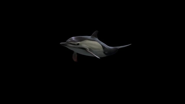 A dolphin keeping swimming forward underwater. Side view, glittering realistic 3D rendering cycle animation