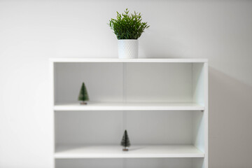 Modern interior of living room. Close-up of green flower in pot on shelf. White wall.
