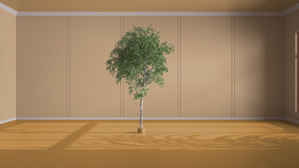 Imaginary fictional architecture, interior design of hall, classic empty room, open space, yellow walls with trim molding in the background and birch tree in the middle of the room