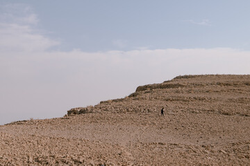 girl wandering in the desert