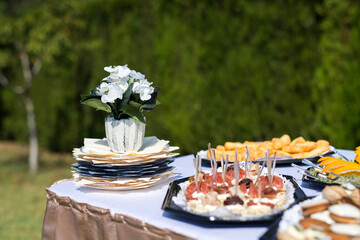Outdoor catering food at the wedding. Fine Banquet Table in the back yard. Selective focus.