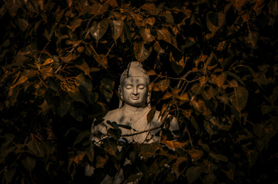 The Lord Buddha