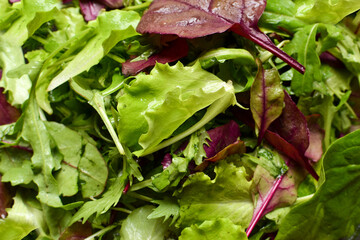 Arugula, spinach, greens close-up. Veganism and vegetarianism. Healthly food.