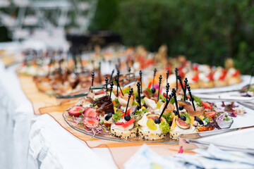 The buffet at the reception. Assortment of canapes on a table. Banquet service. Catering food, snacks with different types of cheese, ham, salami, prosciutto, shrimp, vegetables and fruits. 