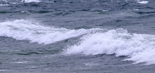 Roiling wave splashing in the wind
