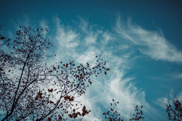 beautiful blue sky with clouds