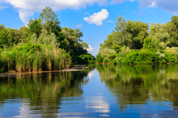 Fototapeta na wymiar Summer landscape with beautiful river, green trees and blue sky