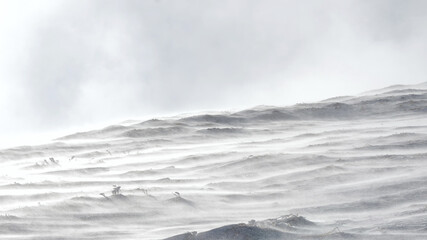 A mountain slope covered with a layer of snow during a blizzard. Trapped in motion.