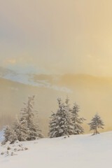 A soft sunrise over a snow-covered mountain slope.