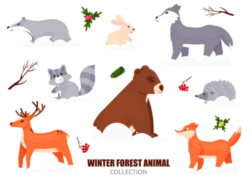 Christmas in the forest 2021
A collection of cute forest animals, which are depicted on a white background, bear, fox, wolf, deer, hare, raccoon, hedgehog,
Vector illustration