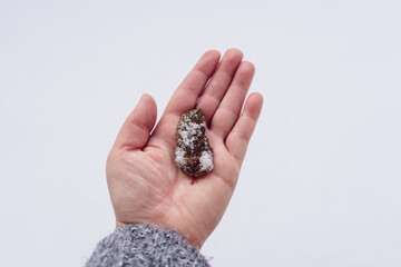 Frau hält gefrorenes Blatt auf einer Handfläche im Schnee. Draufsicht, Winter, Kälte.