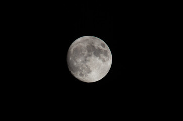 full moon in the night