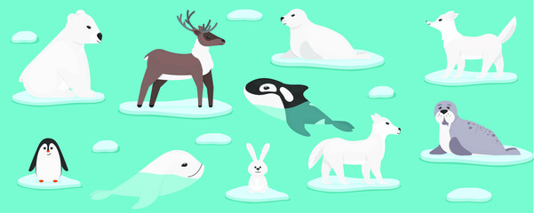 Fototapeta premium Arctic marine animals. Christmas and New Year 2021 with cute animals. Collection of sea animals on ice, penguin, hare, fur seal, wolf, deer, bear, seal, walrus. Vector illustration