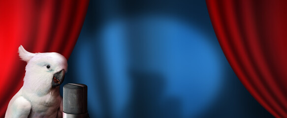 White cockatoo parrot talking in a microphone with blurry curtain background copy space. Advertisement banner concept. © funstarts33