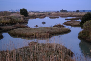 The salt marshes of guerande in the evening.