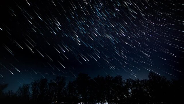Time lapse of comet-shaped star trails over Silhouettes of trees in the night sky. 4K