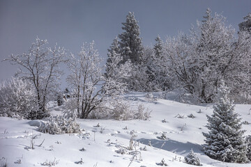 Allphotokz Chimbulak 20160210 8943 D810 S