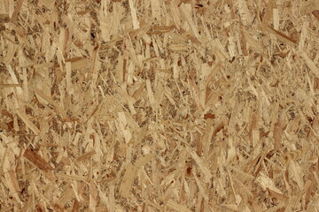 texture of wood