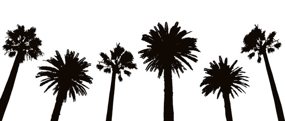 Border with palm trees silhouettes isolated on white - tropical trees for summer design